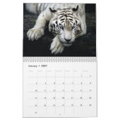 Tiger-Kalender Kalender (Jan 2027)