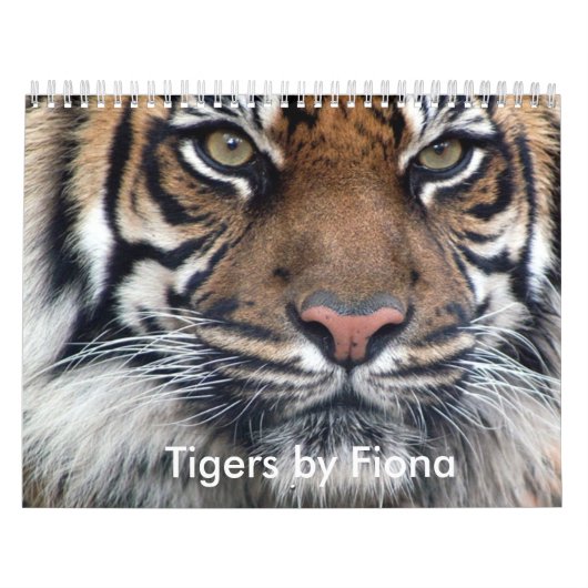 Tiger-Kalender Kalender (Titelbild)