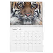 Tiger-Kalender Kalender (Feb 2026)