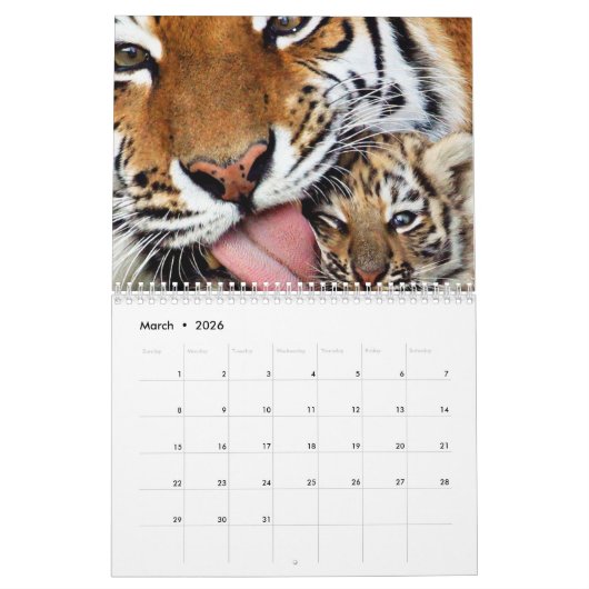 Tiger-Kalender Kalender (Mär 2026)