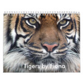 Tiger-Kalender Kalender (Titelbild)