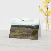 Tiger Karte (Gelbe Blume)