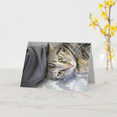 Tiger Karte (Gelbe Blume)
