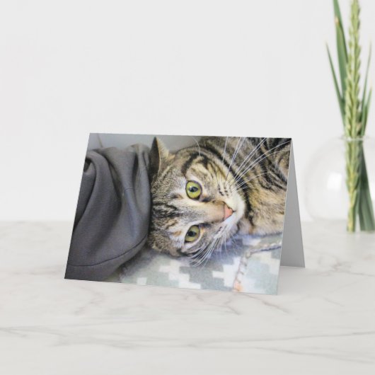Tiger Karte (Vorderseite)