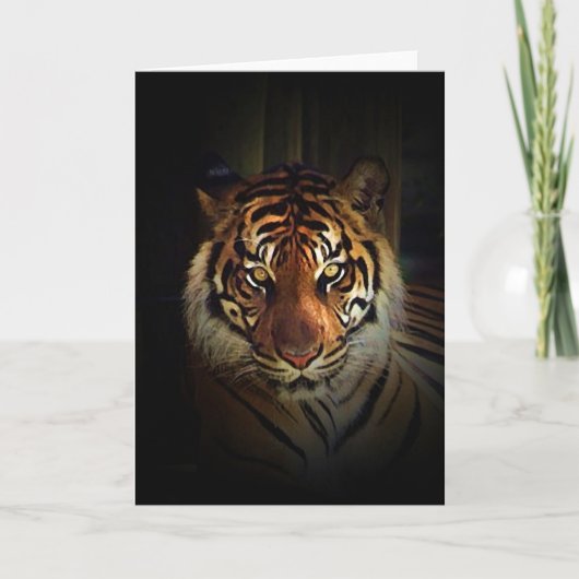 Tiger Karte (Vorderseite)