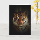 Tiger Karte (Gelbe Blume)