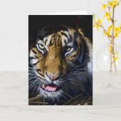 Tiger Karte (Gelbe Blume)