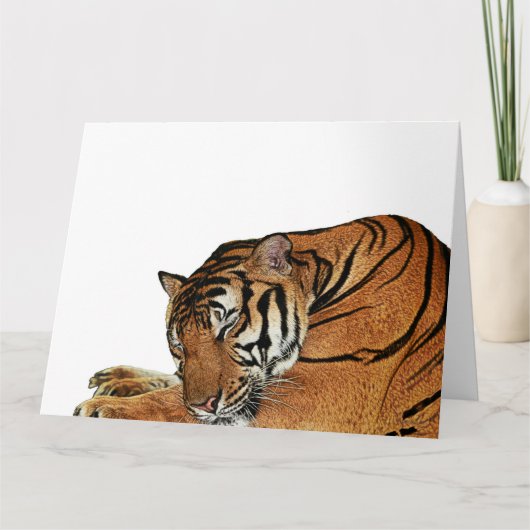 Tiger-Karte Karte (Vorderseite)