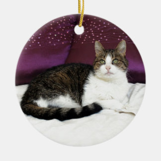 Tiger-Katze Keramikornament