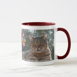 Tiger-Katze Pandelie Tasse