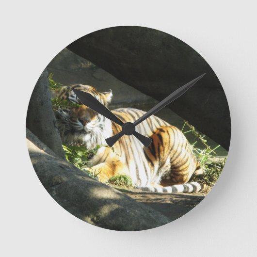 Tiger Katze schläft Runde Wanduhr (Vorderseite)