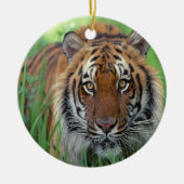 Tiger Keramik Ornament (Vorne)