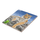 Tiger-Keramik-Tile Fliese (Seite)
