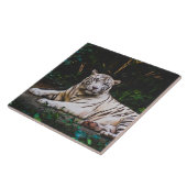 Tiger Keramik Tile Fliese (Seite)