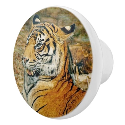 Tiger Keramikknauf (Rechts)