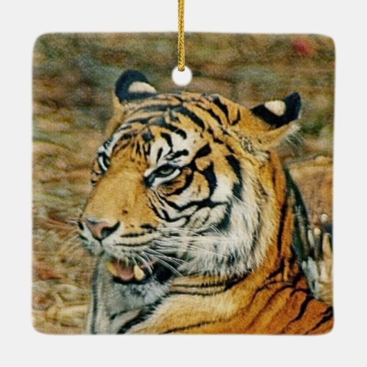 Tiger Keramikornament (Rückseite)