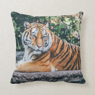 Tiger Kissen