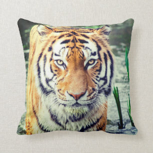 Tiger-Kissen Kissen