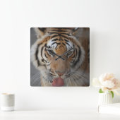 Tiger Kisses Wall Clock Quadratische Wanduhr (Zuhause)