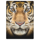Tiger Klemmbrett (Rückseite)