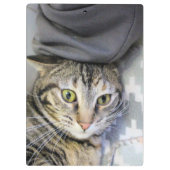 Tiger Klemmbrett (Rückseite)