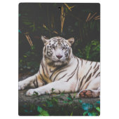 Tiger Klemmbrett (Rückseite)