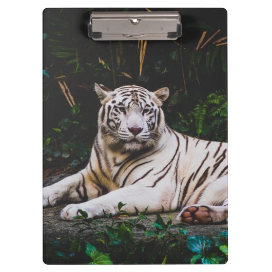 Tiger Klemmbrett (Vorderseite)
