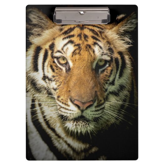 Tiger Klemmbrett (Vorderseite)