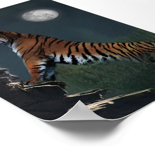 Tiger klettern Poster (Ecke)