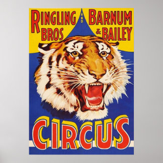 TIGER Knurren Zirkus Ringling Bros Zirkus Tier Poster