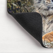 Tiger königliches Mousepad (Ecke)