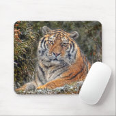 Tiger königliches Mousepad (Mit Mouse)