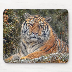 Tiger königliches Mousepad