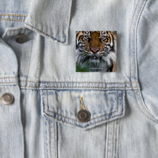 Tiger-Kopf und Gesicht Button