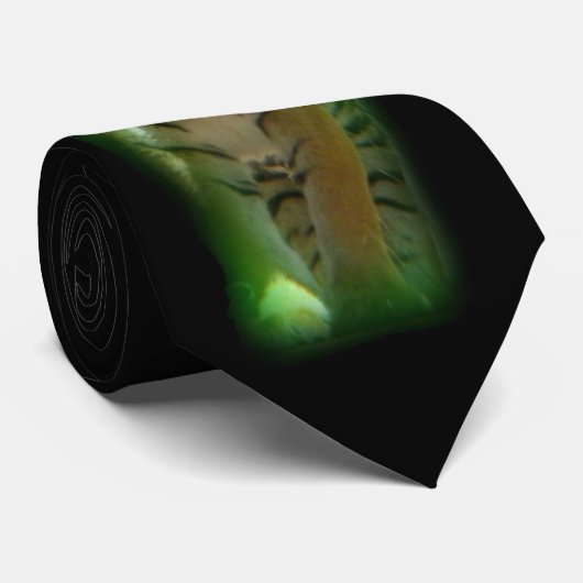 Tiger Krawatte (Gerollt)