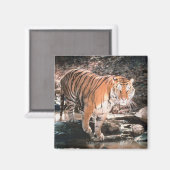 Tiger-Kreuz Magnet (Vorderseite/Rückseite)
