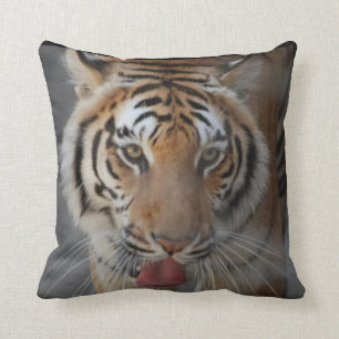 Tiger küsst Kissen