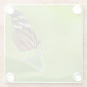 Tiger Langschwingenschmetterling Glasuntersetzer (Rückseite)
