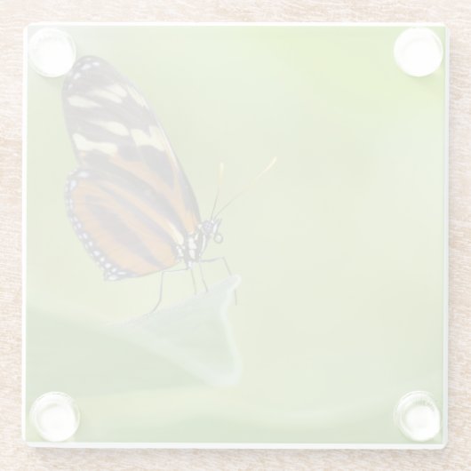 Tiger Langschwingenschmetterling Glasuntersetzer (Rückseite)