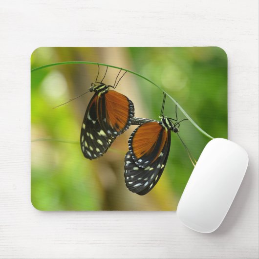 Tiger Langschwingenschmetterling Mousepad (Mit Mouse)