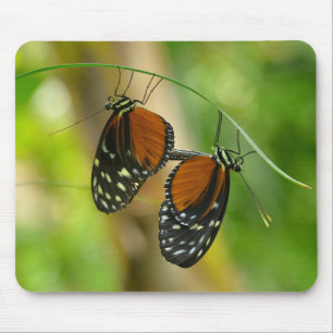 Tiger Langschwingenschmetterling Mousepad