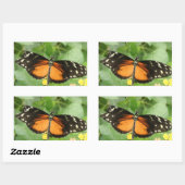 Tiger Langwing Butterfly Stickers (Blatt)