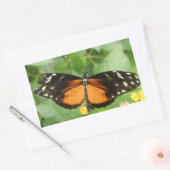 Tiger Langwing Butterfly Stickers (Umschlag)