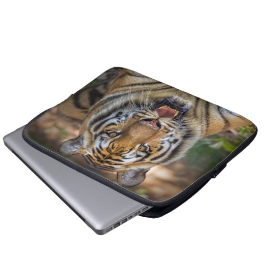Tiger Laptop Sleeve (Vorne Knopf)