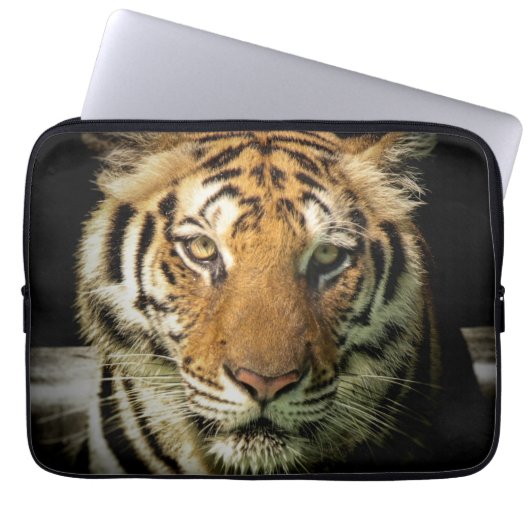 Tiger Laptopschutzhülle (Vorderseite)