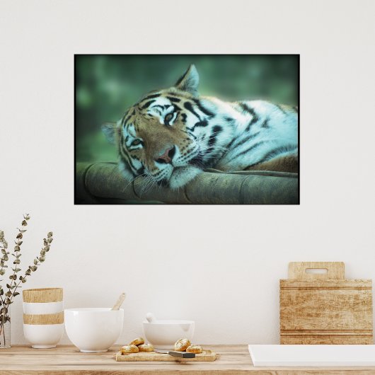 Tiger Lay Poster (Küche)