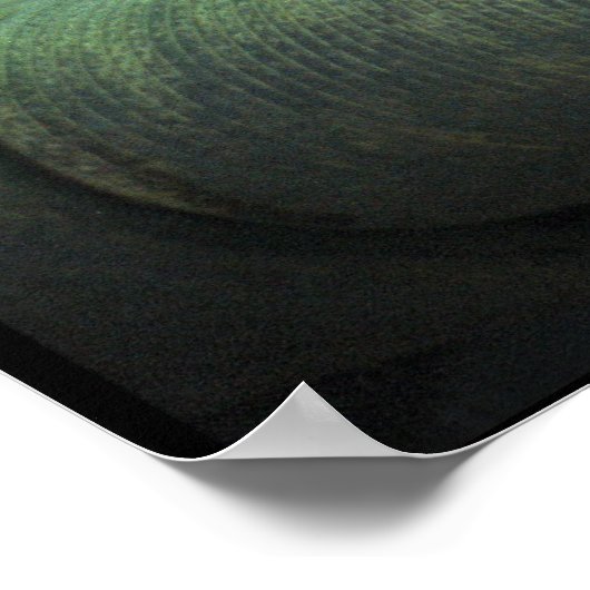 Tiger Lay Poster (Ecke)