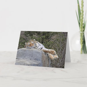Tiger "Lazy Day" Greeting Card Karte