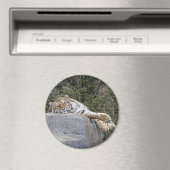 Tiger "Lazy Day" Magnet (In Situ (Geschirrspüler))