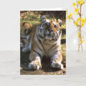 Tiger-leere Karte (Gelbe Blume)